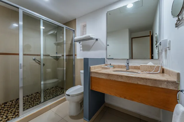 غرفة تنفيذية بسرير مزدوج، La Venta Inn Villahermosa 6/6