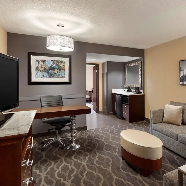 Premium, Suite, Embassy Suites by Hilton Atlanta Airport 1/1