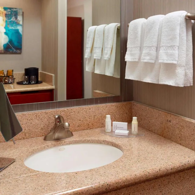 غرفة بسرير كينج لذوي الإعاقة، Sonesta Select Atlanta Midtown Georgia Tech 5/10
