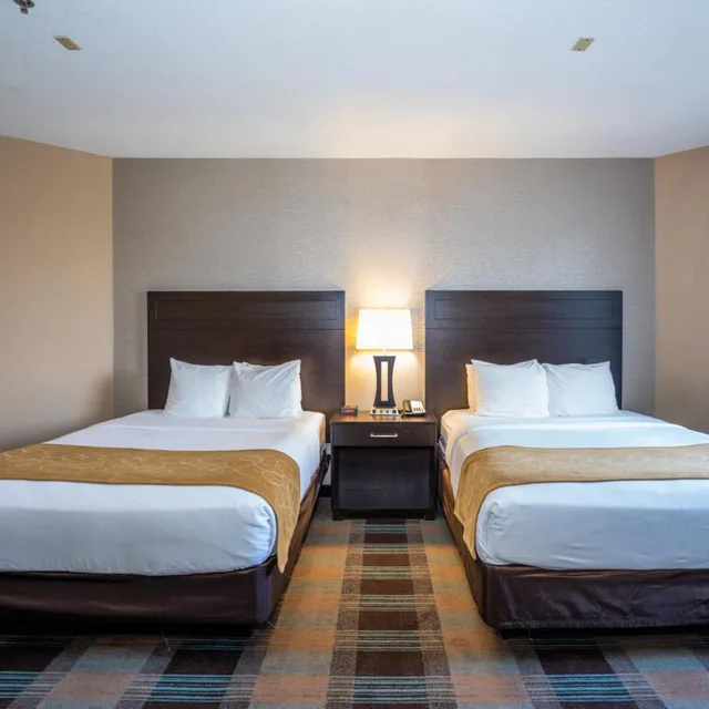 Suite, Queen Bed, Comfort Suites Houston West At Clay Road 3/10