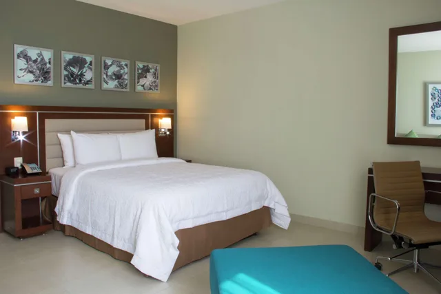 جناح استوديو بسرير كوين، Hampton Inn By Hilton Villahermosa 2/5