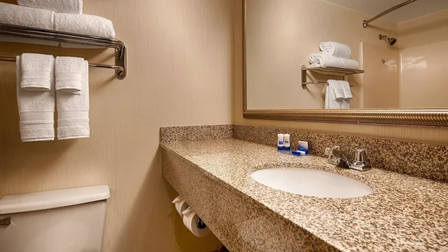 غرفة قياسية بسرير كينج يُسمح فيها بالحيوانات الأليفة، Best Western Royal Plaza Hotel & Trade Center 6/7