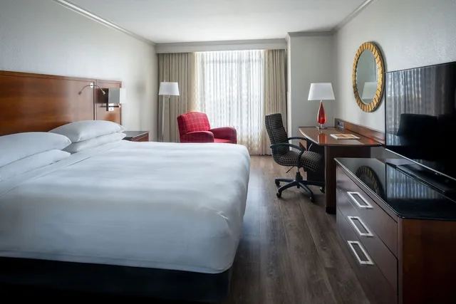 Concierge, King Bed، Marriott St Petersburg Clearwater 1/10