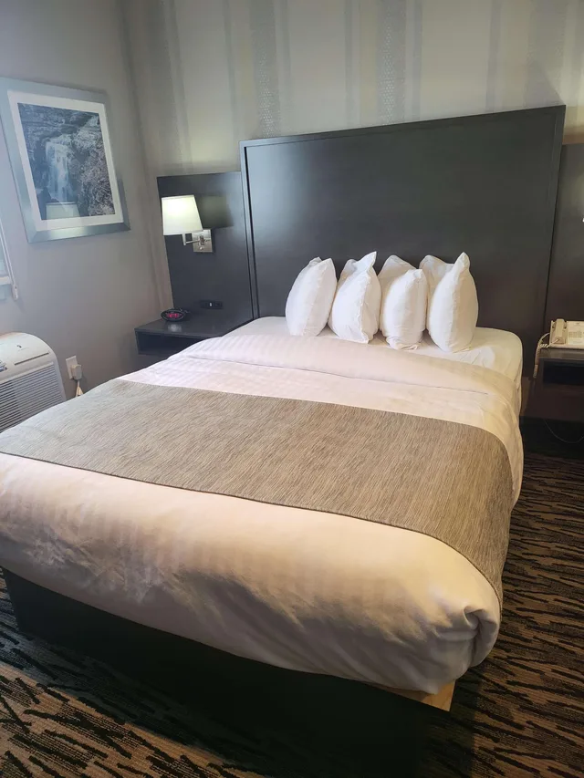 Room, Queen Bed, Best Western Sawtooth Inn & Suites 2/6