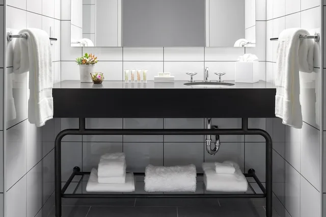 1 Bedroom, Loft, Luxury, Suite، Fordson Hotel Unbound Collection by Hyatt 4/4