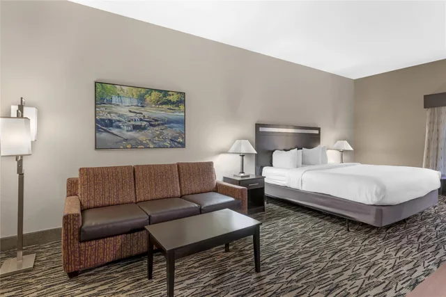 غرفة بسرير كينج مع أريكة، Best Western Plus McDonough Inn & Suites 3/8
