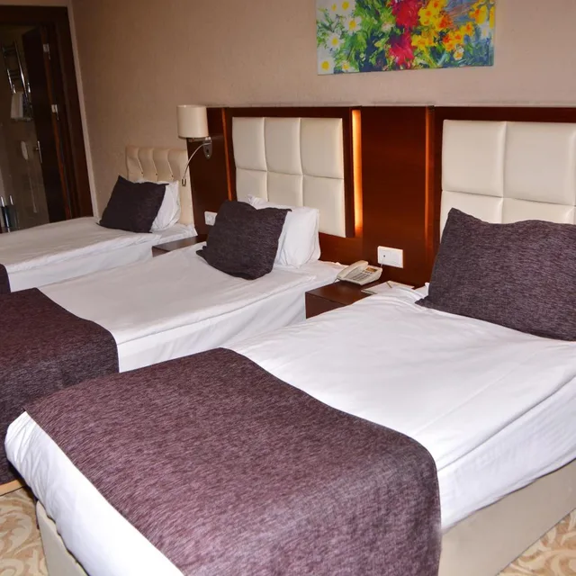 Room, Triple, ASRIN BUSINESS HOTEL 5/10