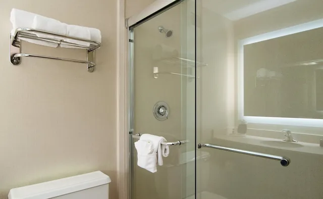 جناح بسرير كينج بإطلالة على المتنزه بغرفة نوم واحدة مع أريكة، Holiday Inn Nashville-Vanderbilt (Dwtn) 4/4