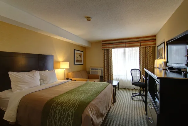 غرفة قياسية بسرير كينج في الطابق الأرضي، Comfort Inn Chatham 2/10