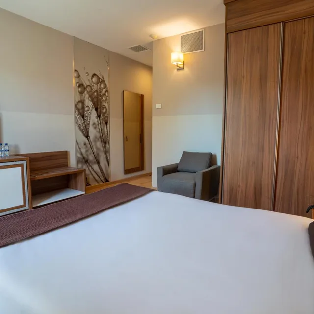 غرفة قياسية بسرير مزدوج أو سريرين منفصلين بشرفة، Hotel Can Galvany 4/4