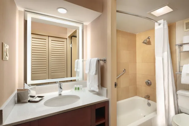 غرفة ديلوكس بسرير كينج، Holiday Inn Austin Town Lake Hotel 4/4