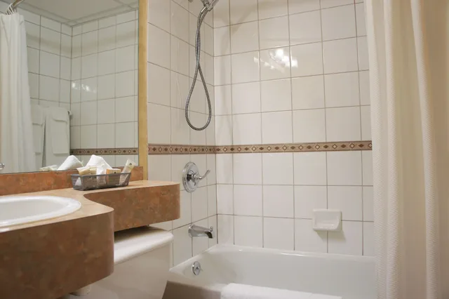 Comfort, Economy, Queen Bed, Bath and Shower, Sofa، Hotel Castel 7/7