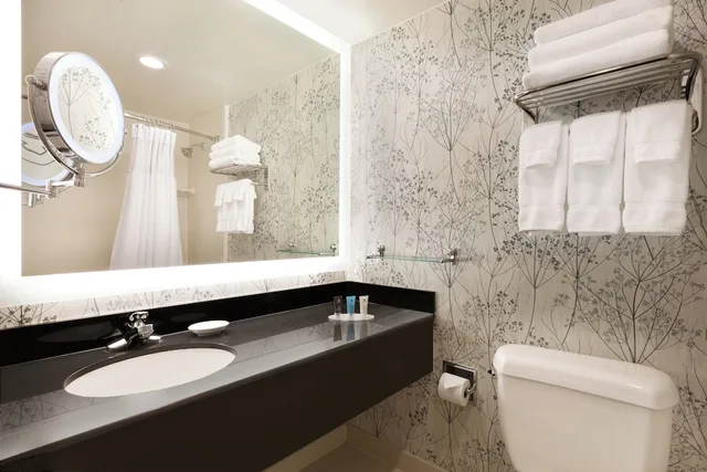 غرفة قياسية بسرير مزدوج بحوض استحمام لذوي الإعاقة، Crowne Plaza Crystal City Washington D C 3/3