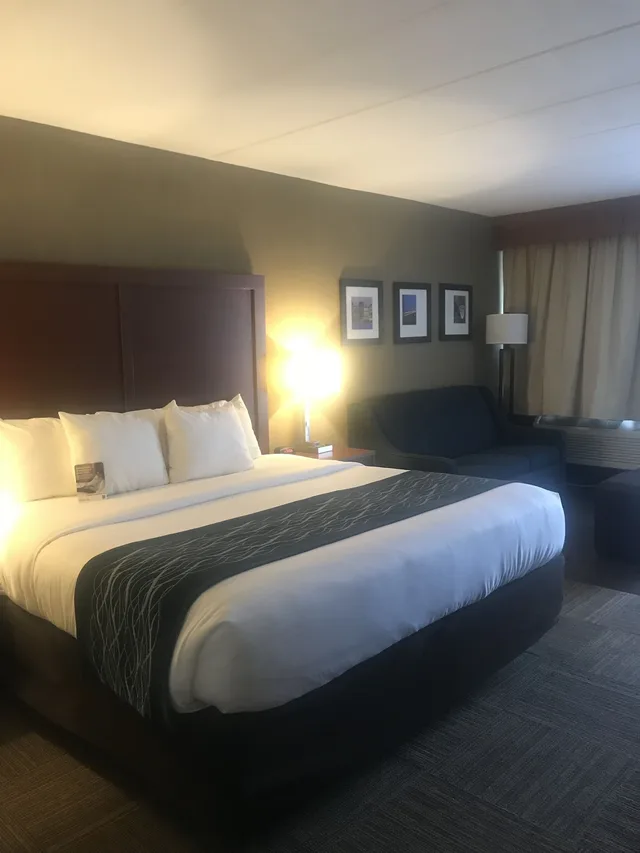غرفة قياسية بسرير كينج، Comfort Inn Edgewater on Hudson River 2/9