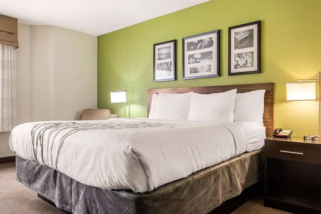 جناح بسرير كينج، Sleep Inn & Suites Columbus South 1/4