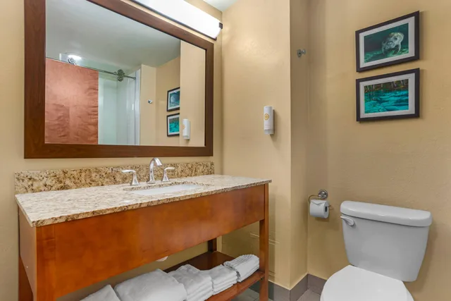 غرفة بسرير كينج، Comfort Suites Tallahassee Capitol - University Area 7/8