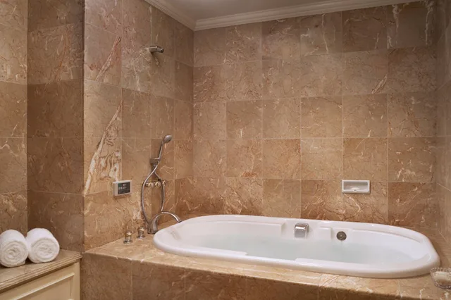 جناح رئاسي بسرير مزدوج، The Ritz-Carlton Osaka 4/4