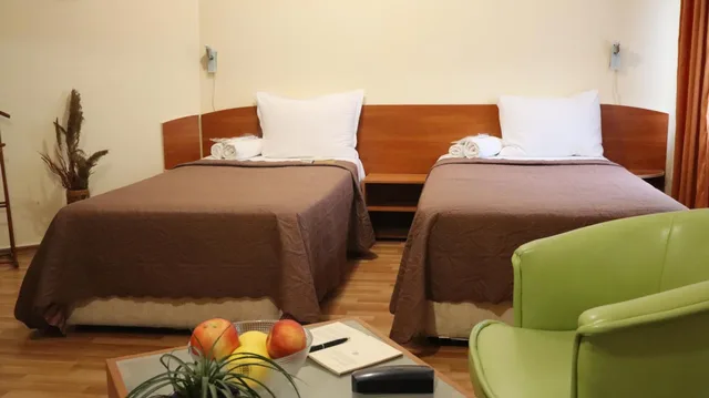 غرفة ديلوكس بسريرين منفصلين، Palitra Family Hotel 8/9