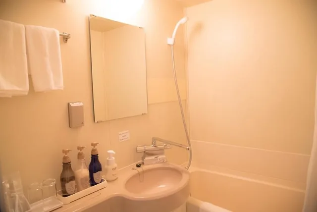 غرفة سوبيريور بسرير مزدوج، Best Western Osaka Tsukamoto 8/9