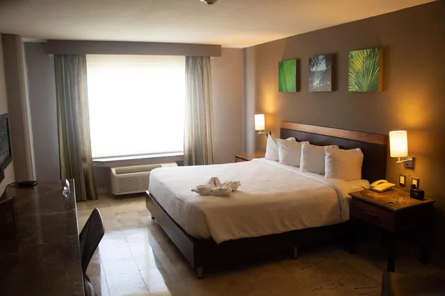 غرفة لذوي الإعاقة، Hilton Garden Inn Boca Del Rio Veracruz 1/3