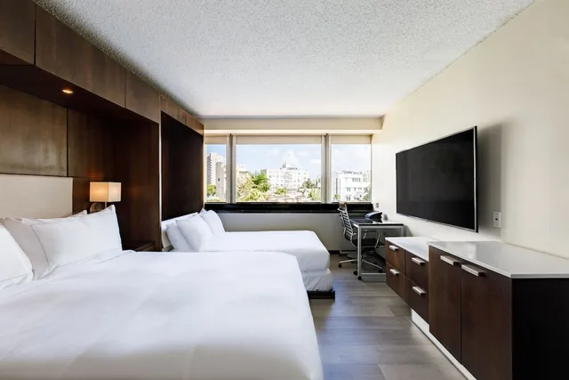 Deluxe, Murphy Bed, Queen Bed, Garden View، Doubletree By Hilton Hotel San Juan 1/3