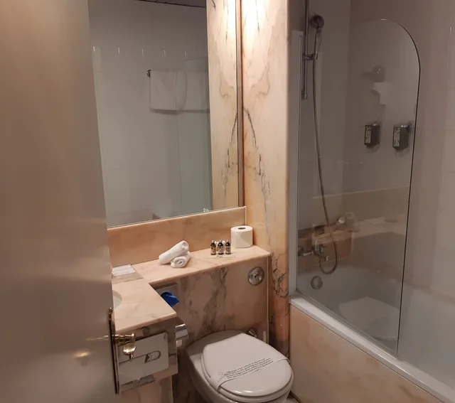 Standard, Single, Valley View, Balcony، Hotel Regina Wengen 10/12