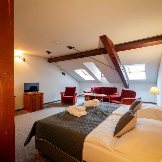 جناح جونيور، Hotel Dvorak Tabor 10/10