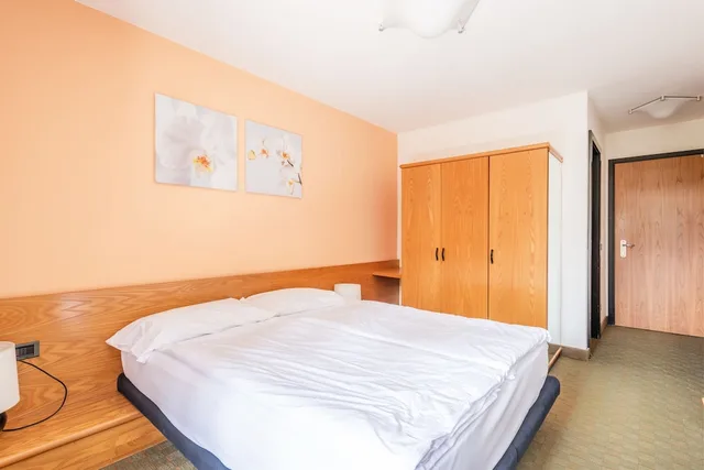 Deluxe, Double Bed, Alpina Hotel 5/9