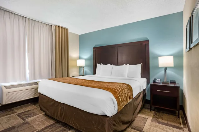 جناح بسرير كينج لذوي الإعاقة، Wyndham Garden Newark/Fremont Silicon Valley 1/3