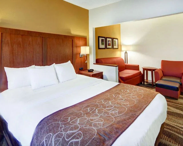 جناح بسرير كينج، Comfort Suites Longview North 1/8