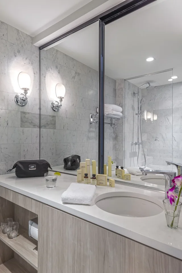 غرفة كلاسيكية بسرير كينج لذوي الإعاقة، The Tillary Hotel Brooklyn 3/3