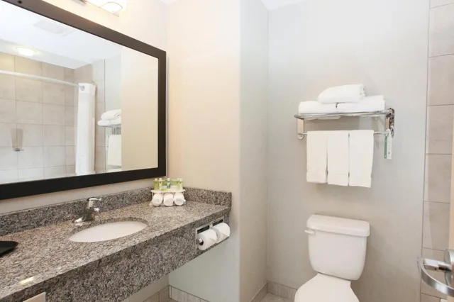 غرفة قياسية بسرير كينج لذوي الإعاقة، Holiday Inn Express Fort St John 3/10
