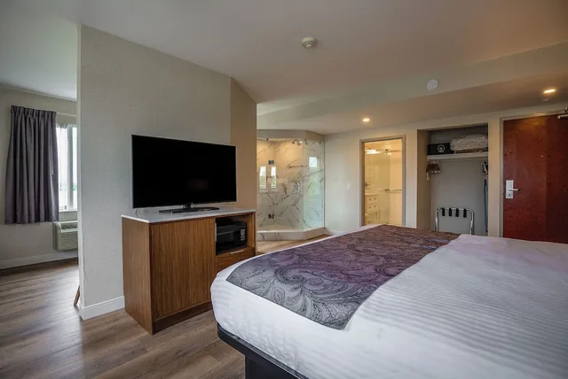 جناح استوديو فاخر بسرير كينج، Monte Carlo Inn Oakville Suites 4/9