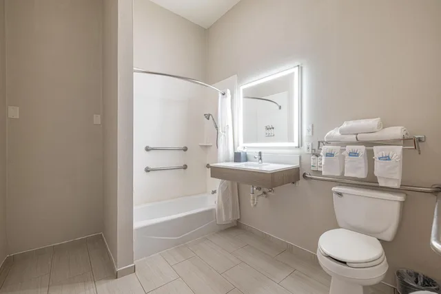 1 Bedroom, King Bed, Accessible, Holiday Inn Express Hotel Suites College Station 7/9