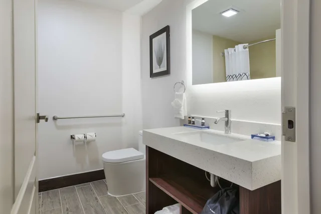 Suite, King Bed, The Leo Collection Detroit, an Ascend Collection Hotel 10/10
