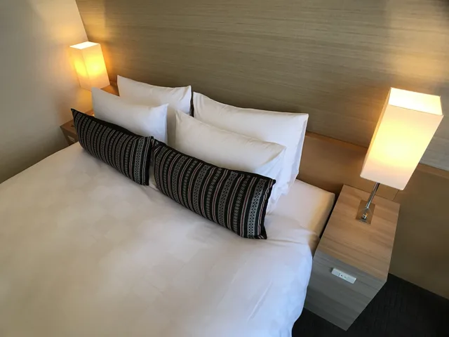 Standard, Queen Bed, Smoking, Hotel Resol Trinity Hakata 3/5