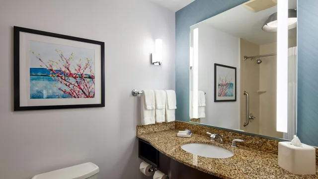 غرفة بسرير كينج لذوي الإعاقة، Hilton Garden Inn Merrillville 3/4