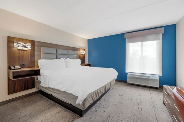 غرفة قياسية بسرير كينج لذوي الإعاقة، Holiday Inn Express & Suites NASHVILLE SOUTHEAST - ANTIOCH 4/9