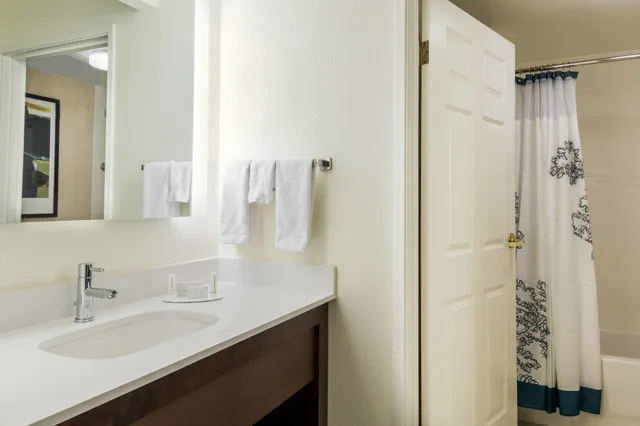 Studio, Queen Bed, Sofa, Residence Inn By Marriott Chattanooga Downtown 3/3