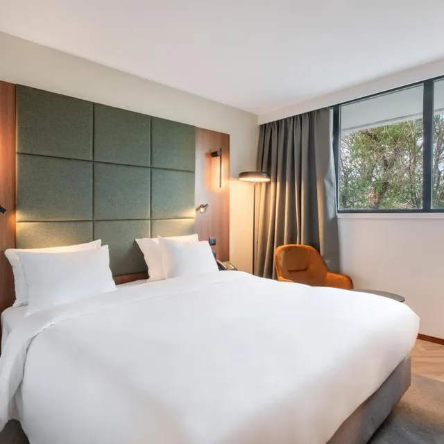 غرفة قياسية بسرير كينج، Crowne Plaza Montpellier Corum 2/9