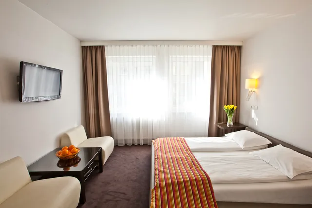 غرفة قياسية بسرير مزدوج أو سريرين منفصلين، PLATINUM PALACE APARTMENTS 2/4