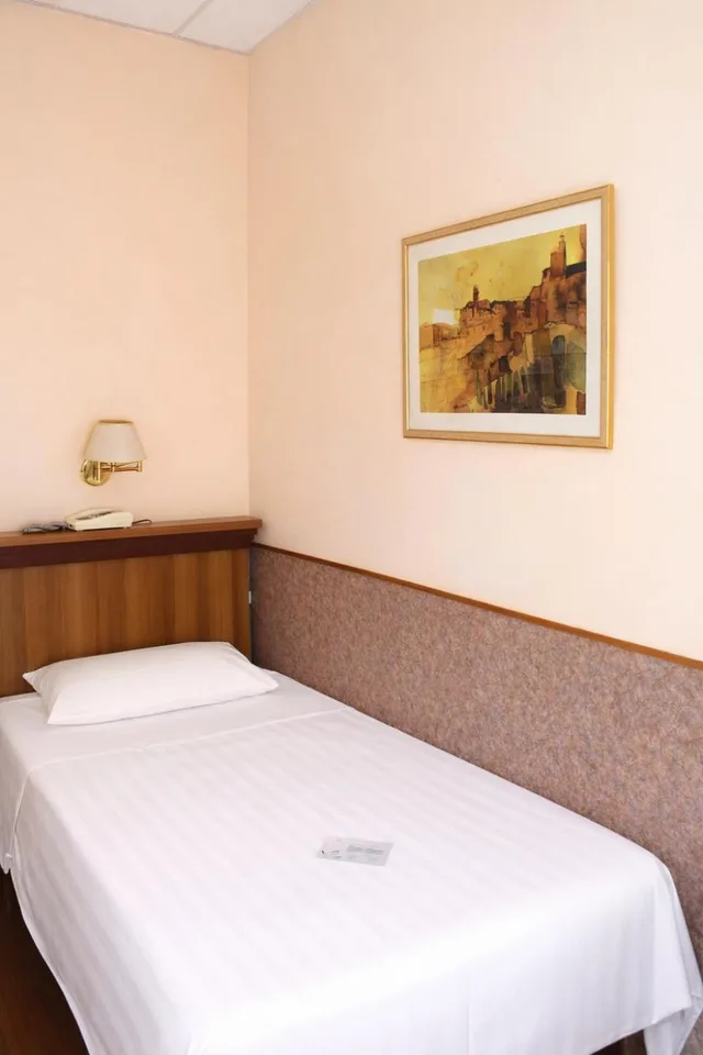 غرفة مفردة، Ambra Palace Hotel Pescara 1/7