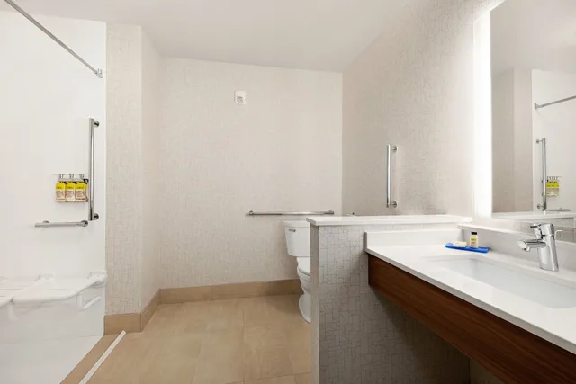 غرفة قياسية بسرير كينج لذوي الإعاقة، Holiday Inn Express Suites Beaver Dam 4/4