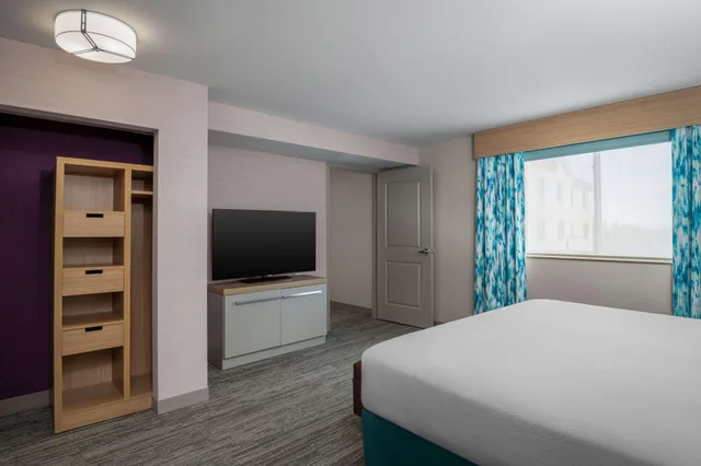 جناح بسرير كينج، Hilton Garden Inn Great Falls 2/3