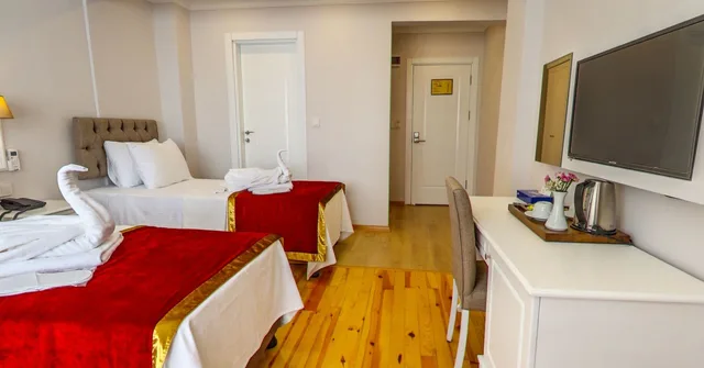 غرفة قياسية بسريرين منفصلين، Hotel Beyazit Palace 3/10