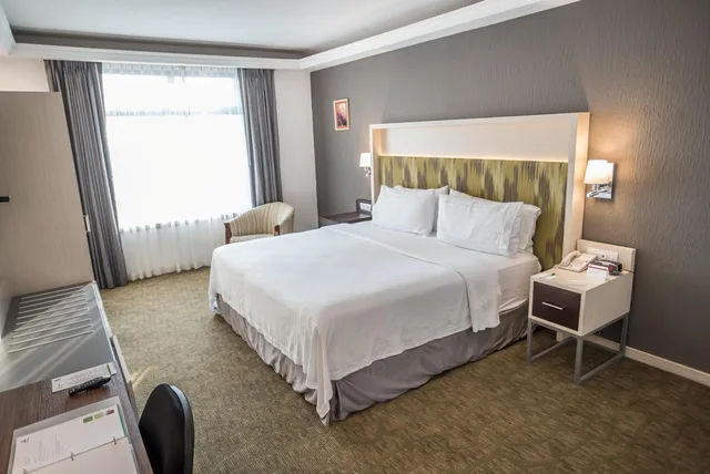 Suite, King Bed, Bath and Shower، Holiday Inn Queretaro Zona Diamante 5/6