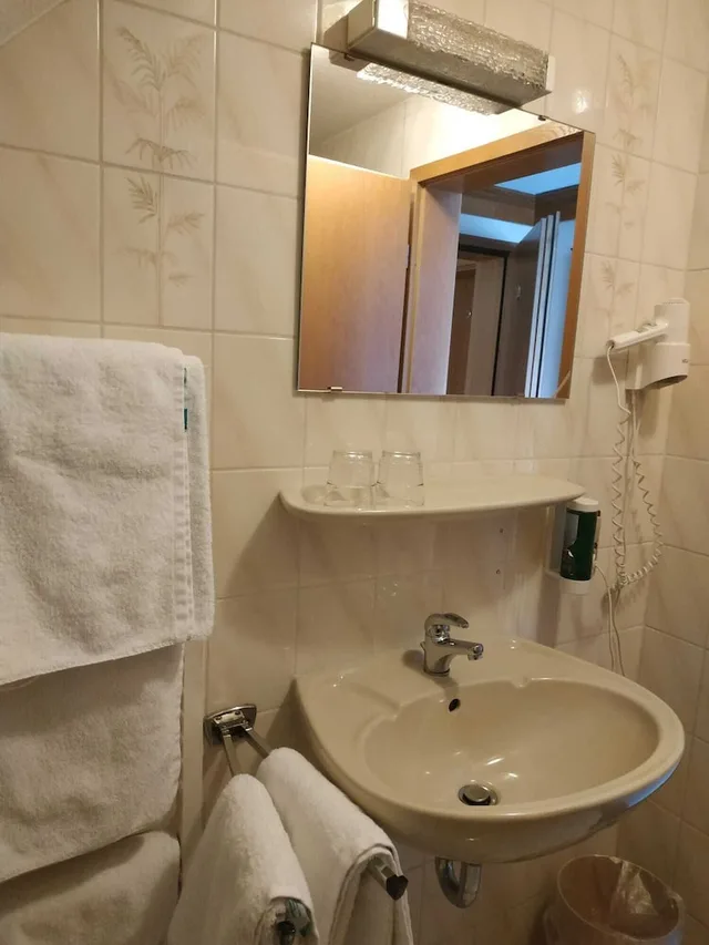 Retro, Compact, Double Bed, Balcony، Hotel Waldblick 2/3