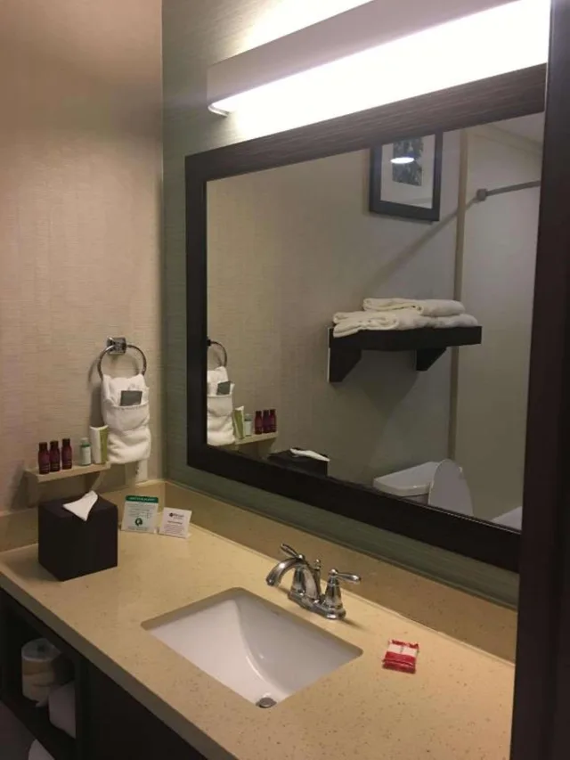 Suite, King Bed, Best Western Premier Ashton Suites Willowbrook 3/4