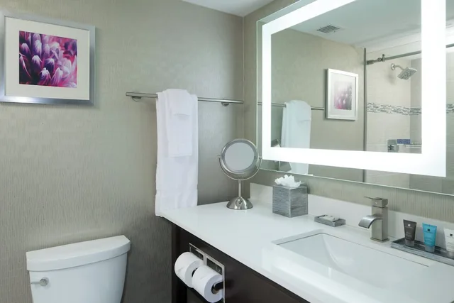 غرفة قياسية بسريرين كوين لذوي الإعاقة، Crowne Plaza Chicago Sw Burr Ridge 6/7