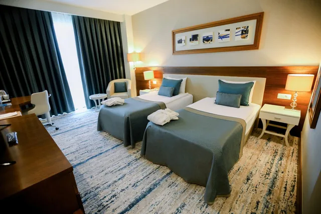 غرفة قياسية بسرير كينج، Baia Hotel Bursa 9/10